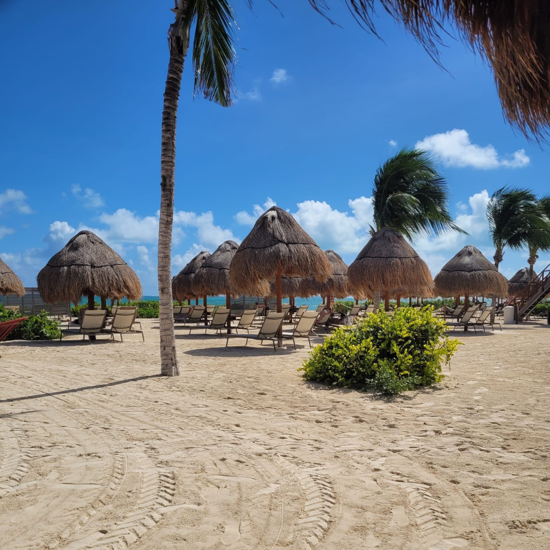 Excellence Coral Playa Mujeres Review